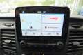 Ford Transit 350 L2 Trend, 9-Sitzer, AC, Navi, AHK, PPS, RFK Gris - thumbnail 9