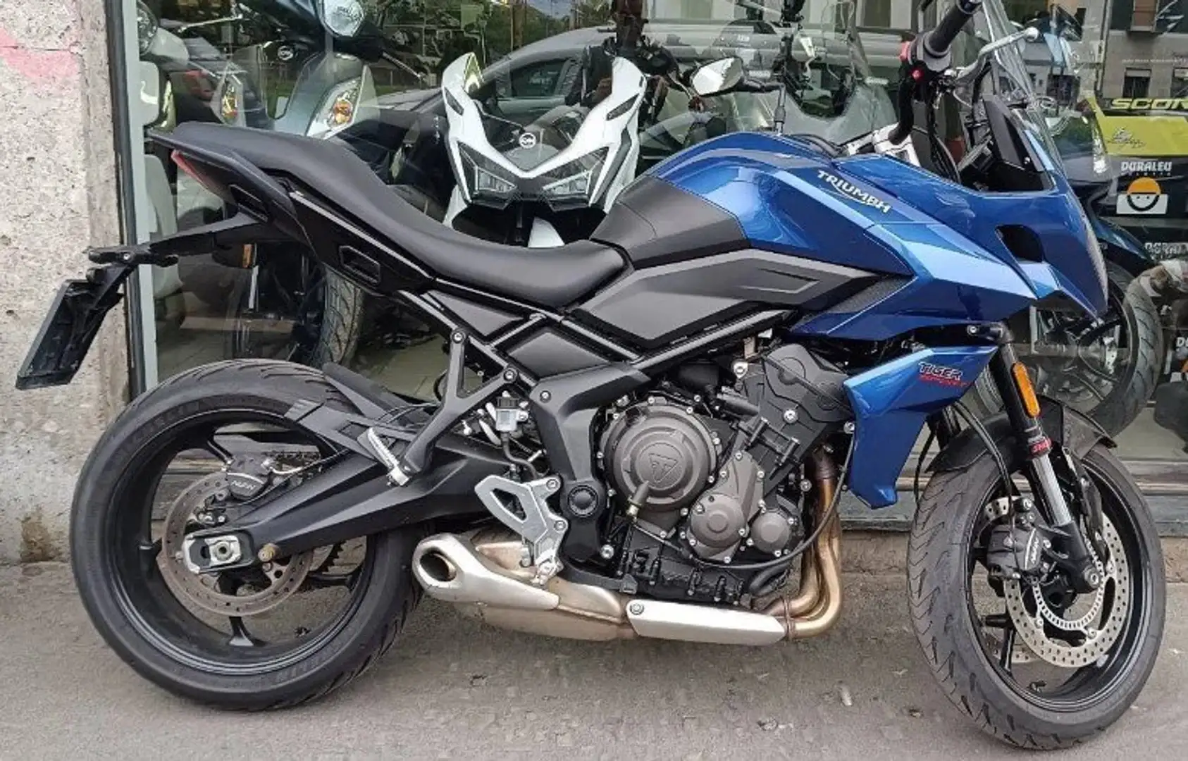 Triumph Tiger Sport 660 - 1