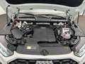 Audi Q5 35 TDI S line S tro*Pano*Standh*LED*Navi+*AHK Weiß - thumbnail 16