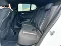 BMW X2 Baureihe X2 xDrive 18 d Advantage Plus Weiß - thumbnail 20