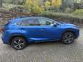 Lexus NX 300h NX 300h 4WD Pack Business Bleu - thumbnail 4