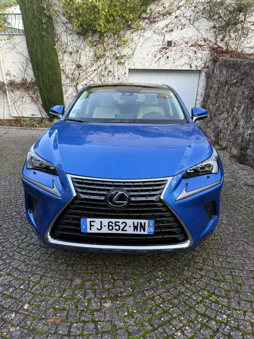 Lexus NX 300h NX 300h 4WD Pack Business Bleu - 2