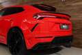 Lamborghini Urus Novitec Widebody|Carbon|HUD|Pano|Massage|Ventilati Rojo - thumbnail 35