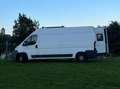 Citroen Jumper Jumper 35 L3H2 3,5t 2,2 HDi Weiß - thumbnail 2