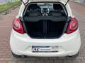 Ford Ka/Ka+ Champions Edition Wit - thumbnail 19