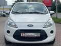 Ford Ka/Ka+ Champions Edition Bianco - thumbnail 2