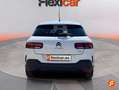 Citroen C4 Cactus 1.2 PureTech S&S Shine 110 Blanco - thumbnail 7