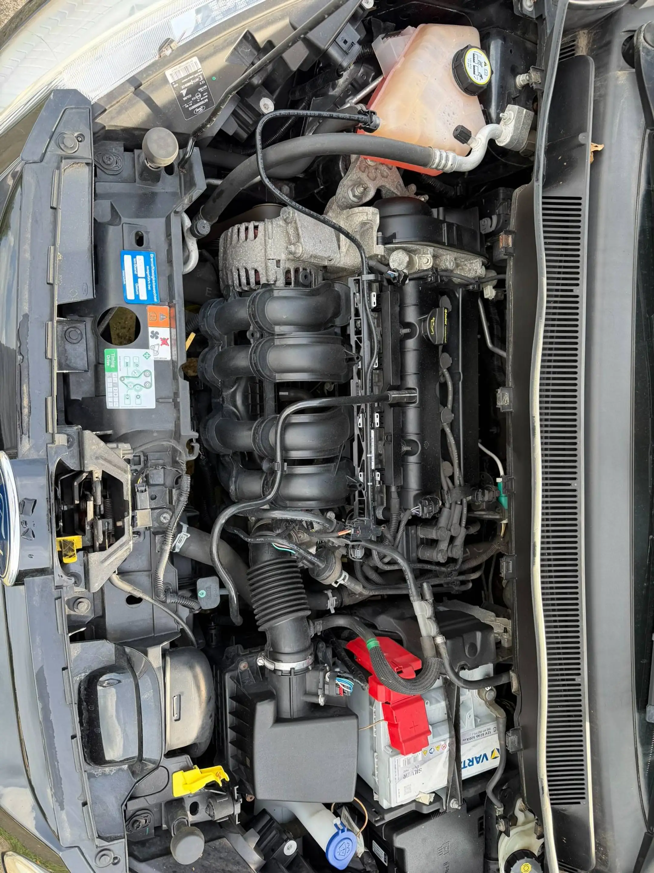 Ford B-Max Individual/1.Hand/1.6/Kamera/Leder/Automatik — photo 28