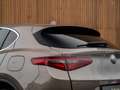 Alfa Romeo Stelvio 2.2d Super | Camera | Grote Navi Bruin - thumbnail 18