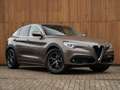 Alfa Romeo Stelvio 2.2d Super | Camera | Grote Navi Bruin - thumbnail 13