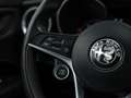 Alfa Romeo Stelvio 2.2d Super | Camera | Grote Navi Bruin - thumbnail 26