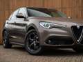 Alfa Romeo Stelvio 2.2d Super | Camera | Grote Navi Bruin - thumbnail 14