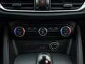 Alfa Romeo Stelvio 2.2d Super | Camera | Grote Navi Bruin - thumbnail 35