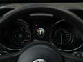 Alfa Romeo Stelvio 2.2d Super | Camera | Grote Navi Bruin - thumbnail 11