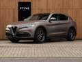 Alfa Romeo Stelvio 2.2d Super | Camera | Grote Navi Bruin - thumbnail 1