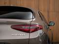 Alfa Romeo Stelvio 2.2d Super | Camera | Grote Navi Bruin - thumbnail 6