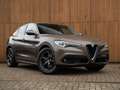 Alfa Romeo Stelvio 2.2d Super | Camera | Grote Navi Bruin - thumbnail 2