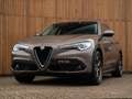 Alfa Romeo Stelvio 2.2d Super | Camera | Grote Navi Bruin - thumbnail 15