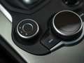 Alfa Romeo Stelvio 2.2d Super | Camera | Grote Navi Bruin - thumbnail 34