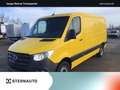 Mercedes-Benz Sprinter Sprinter 316 CDI Kasten Standard STH Kamera Gelb - thumbnail 1