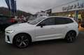 Volvo XC60 B5 Benzin AWD Dark Aut/HeadUp/AHK/LUFTF/21" Weiß - thumbnail 2