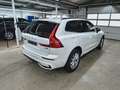 Volvo XC60 B5 Benzin AWD Dark Aut/HeadUp/AHK/LUFTF/21" Weiß - thumbnail 3