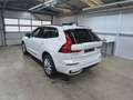 Volvo XC60 B5 Benzin AWD Dark Aut/HeadUp/AHK/LUFTF/21" Weiß - thumbnail 4