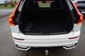 Volvo XC60 B5 Benzin AWD Dark Aut/HeadUp/AHK/LUFTF/21" Weiß - thumbnail 13