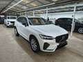 Volvo XC60 B5 Benzin AWD Dark Aut/HeadUp/AHK/LUFTF/21" Weiß - thumbnail 2