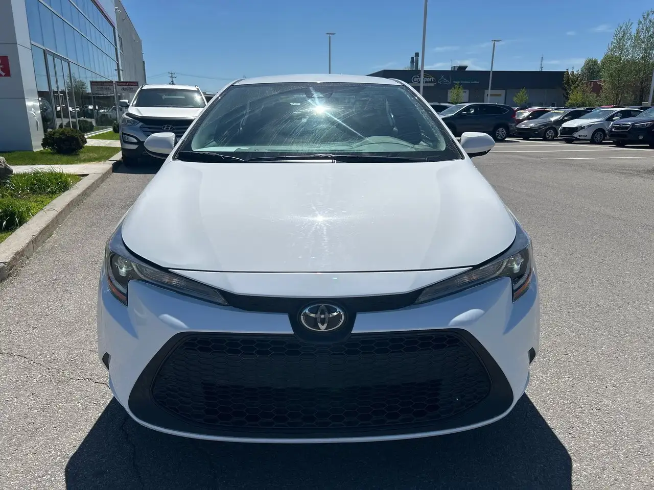 Toyota Corolla photo Toyota Corolla