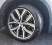 BMW X1 Xdrive18d Sport RESTYLING! TAGLIANDI BMW! Plateado - thumbnail 20