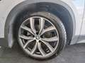 BMW X1 Xdrive18d Sport RESTYLING! TAGLIANDI BMW! Plateado - thumbnail 19