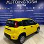 Fiat Panda 1.0 70 CV hybrid s&s KMO PRONTA CONSEGNA FULL ADAS Giallo - thumbnail 2