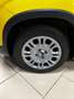 Fiat Panda 1.0 70 CV hybrid s&s KMO PRONTA CONSEGNA FULL ADAS Giallo - thumbnail 7