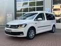 Volkswagen Caddy Maxi Trendline  Standheiz. AHK HU/AU  neu Blanc - thumbnail 15