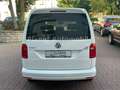 Volkswagen Caddy Maxi Trendline  Standheiz. AHK HU/AU  neu Blanc - thumbnail 5