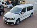 Volkswagen Caddy Maxi Trendline  Standheiz. AHK HU/AU  neu Blanc - thumbnail 3