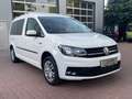 Volkswagen Caddy Maxi Trendline  Standheiz. AHK HU/AU  neu Blanc - thumbnail 1