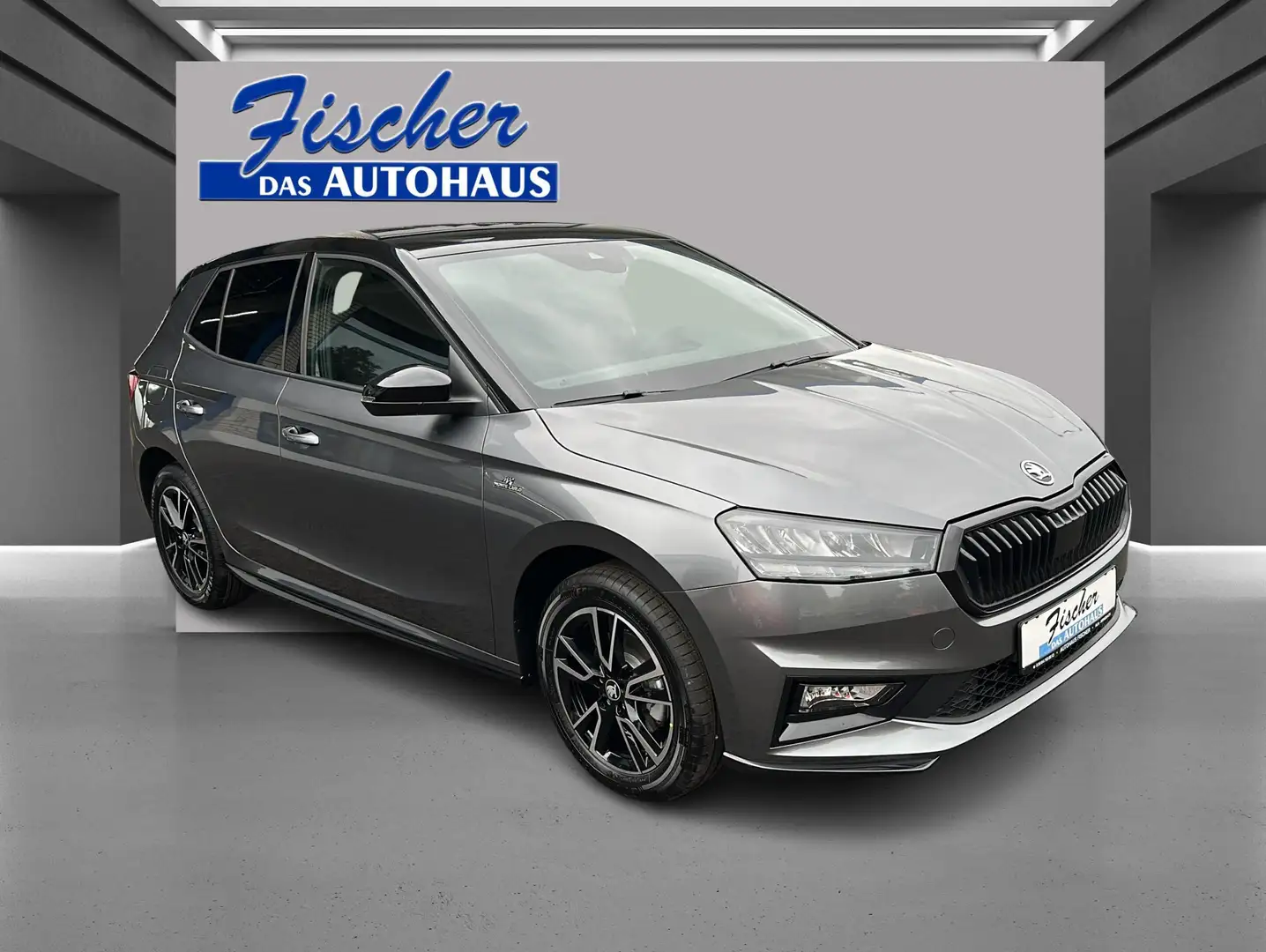 Skoda Fabia Monte Carlo LED SitzHz- Sport-Paket Gris - 2