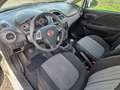 Fiat Punto 5p 1.4 natural power Street 70cv E6 - thumbnail 10