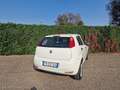 Fiat Punto 5p 1.4 natural power Street 70cv E6 - thumbnail 5