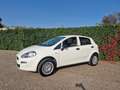 Fiat Punto 5p 1.4 natural power Street 70cv E6 - thumbnail 2