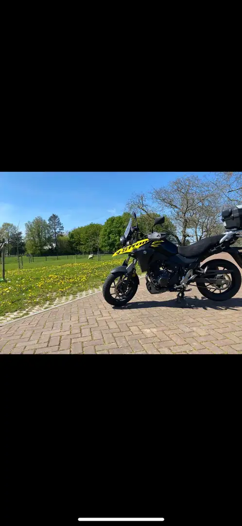 Suzuki V-Strom 250 Gelb - 2