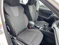 Skoda Octavia Combi 1.0 TSI AHK+NAVI-COLUMBUS+LED+SMAR Weiß - thumbnail 13