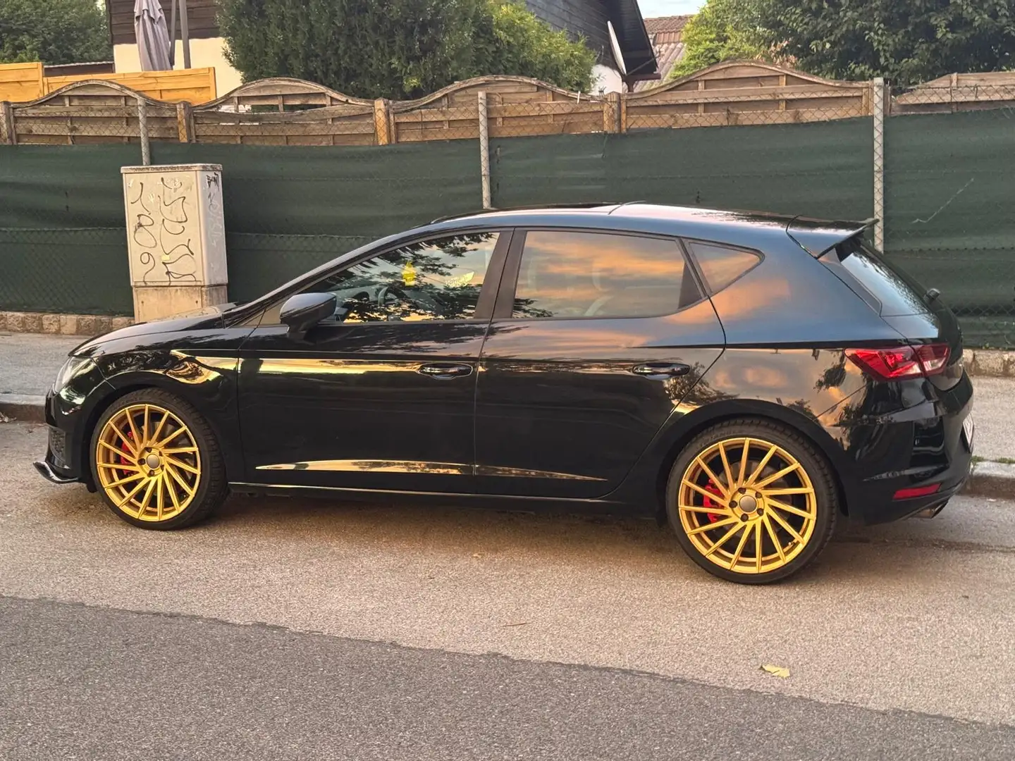 SEAT Leon 2.0 TSI Start&Stop DSG Cupra 265 - 2