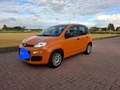 Fiat Panda Panda 1.2i Easy Orange - thumbnail 1