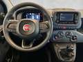 Fiat Panda /Pandina Icon Hybrid 70 Blau - thumbnail 14