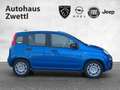 Fiat Panda /Pandina Icon Hybrid 70 Blau - thumbnail 7