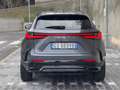 Lexus NX 350h NX 350h F-Sport NO VINCOLI FINANZIARI Gris - thumbnail 6