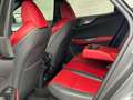Lexus NX 350h NX 350h F-Sport NO VINCOLI FINANZIARI Gris - thumbnail 14